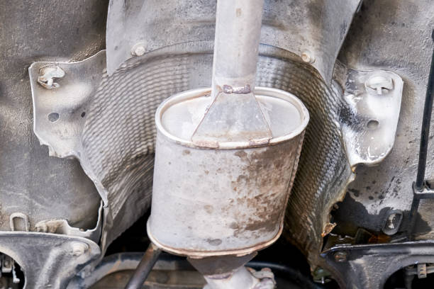 Cam kết giá thu mua cao, cập nhật mỗi ngày