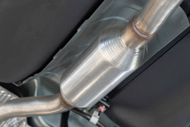 Thu mua giá cao, sát thị trường