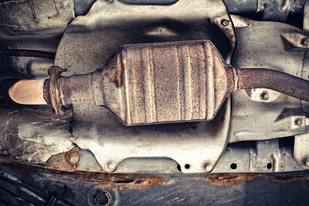 Cam kết giá thu mua cao, sát thị trường